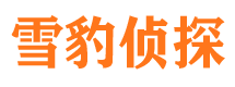 信州市调查公司